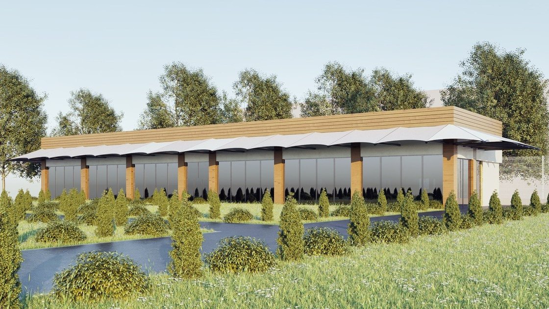 The flat timber canopy variant on slender columns